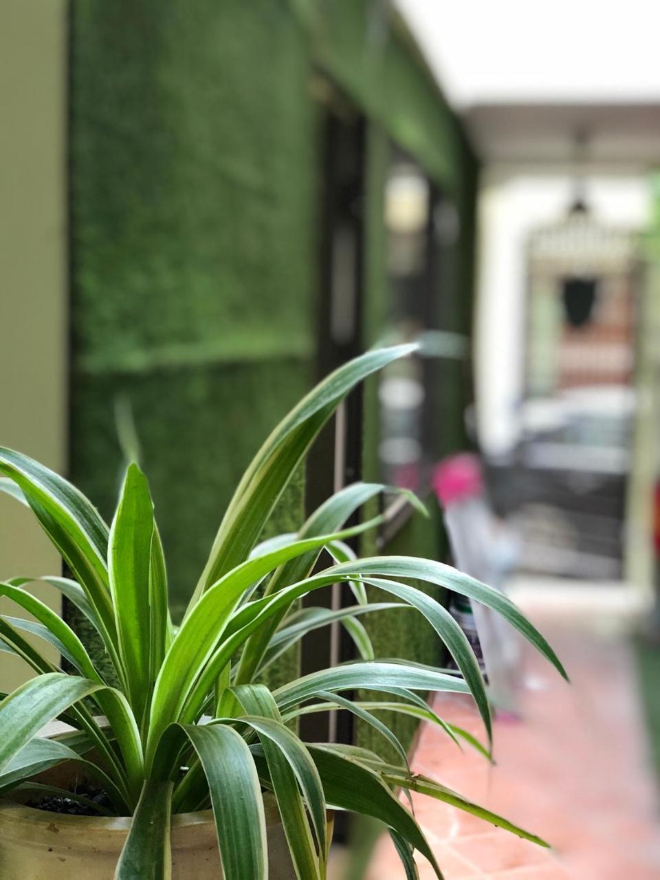 Ventana House Apartment Хайфонг Екстериор снимка